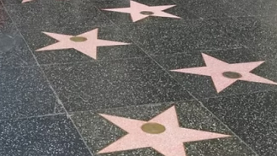 Los Angeles Talent Management, LLC