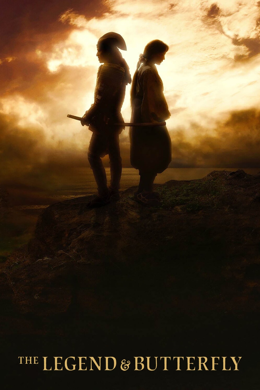 THE LEGEND & BUTTERFLY poster